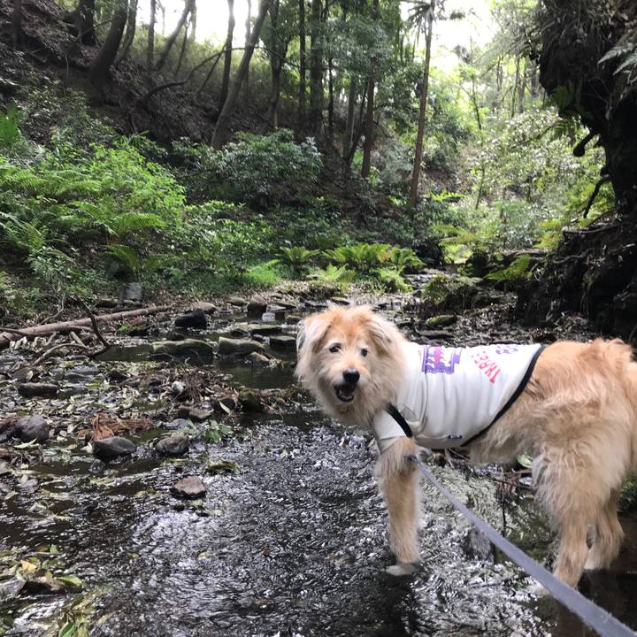 6f2742fb 1384 49df b536 e9b6647d6b98 1555824490605