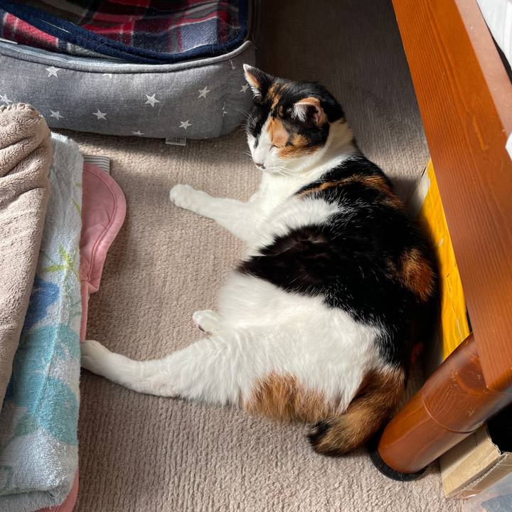 6f2763e5 ea54 447c bee7 000085c25641 1768019804348