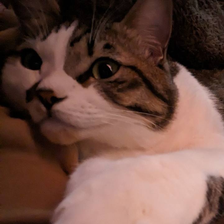 6f27770e aee1 4617 96fe 217e6b71f8c4 1701565571166