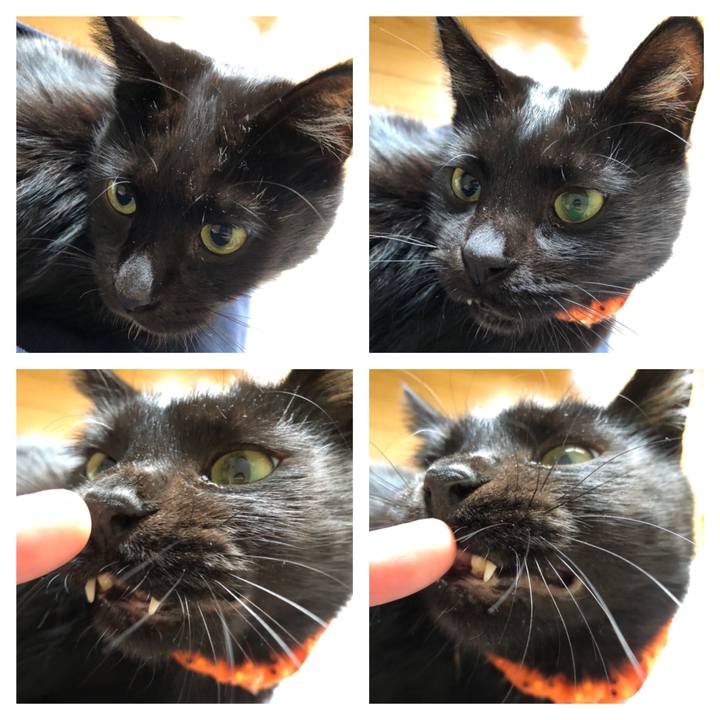 6f278451 379a 4ee5 828c 0c8b9e0b5ce5 1572146193761