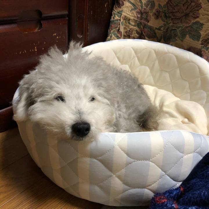 6f2785b1 021a 4d45 bcfc d67504864a35 1621343776476