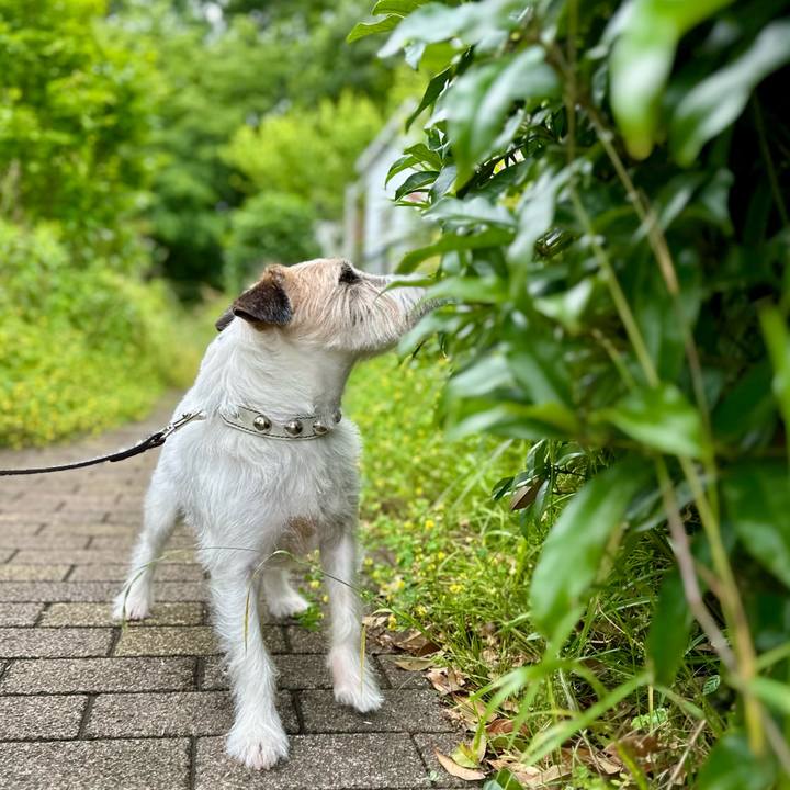 6f27ac6b f420 4462 9b9b 44951f8adef8 1748669851262