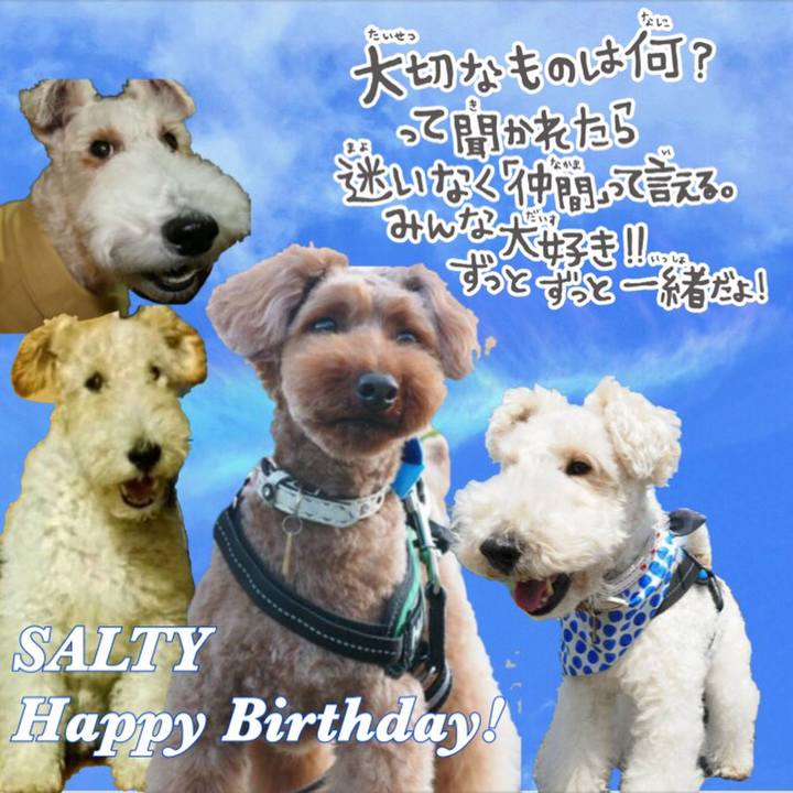 6f27b234 d512 4754 96b7 5bb57d356d6b 1528705900557