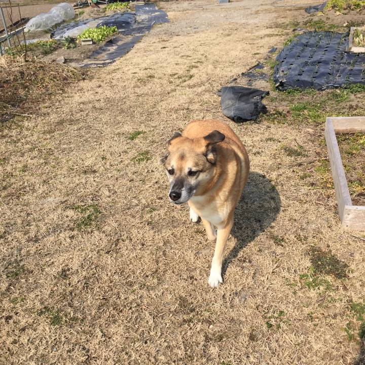 6f280865 2b07 4ab5 a9a9 faa2c5c71a1a 1519439062049