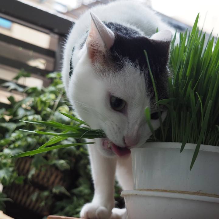 6f282868 e67e 4f37 8b48 e6ae908f5724 1561901712641