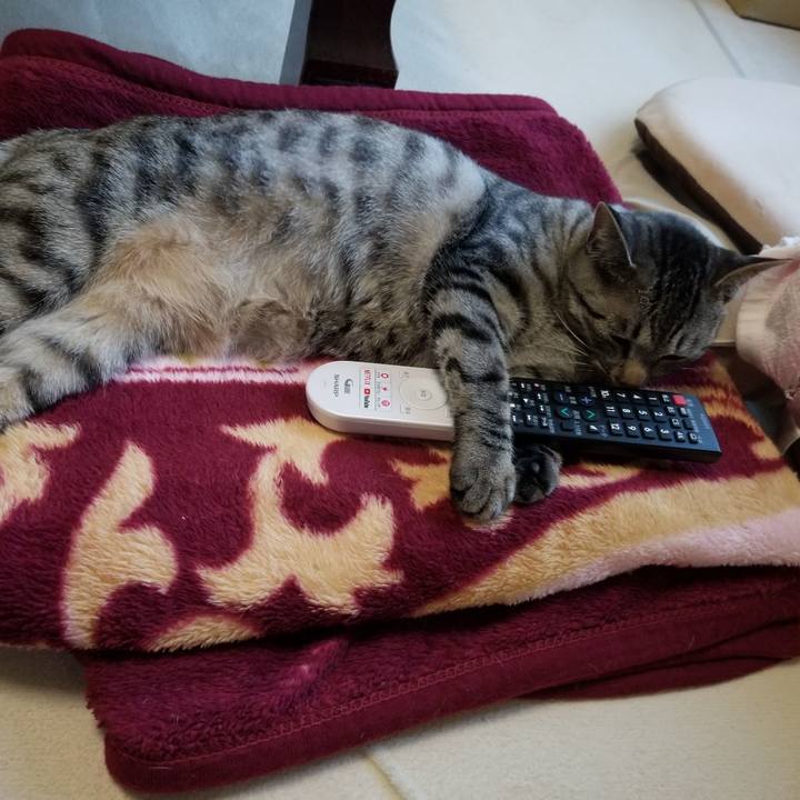 6f28b7b5 dd57 40ce 858d 57efa7efc3aa 1684419994643