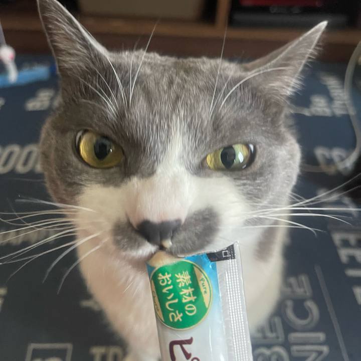 6f28c54c 420d 4c75 96f3 86acab100c43 1716271098331