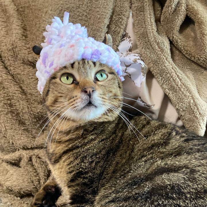 6f28e497 5ef7 499b aeaa b0d505dcc12f 1606887600536