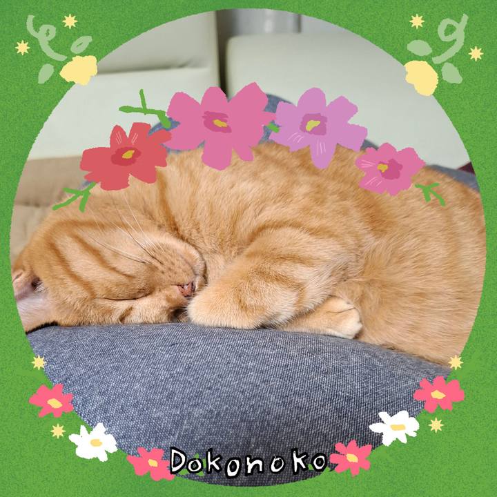 6f291b75 22a0 464b a461 868f138dee57 1726879164041