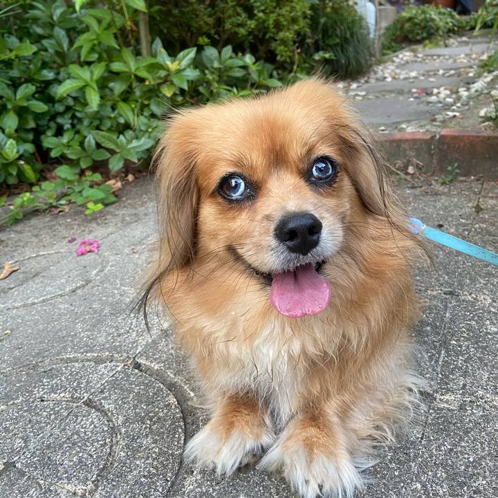 6f292b8d be2c 4063 a132 18d03f3befc4 1598824595856