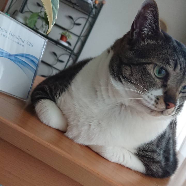 6f294839 2053 49bc a2f5 68fa3fd46440 1556070270956