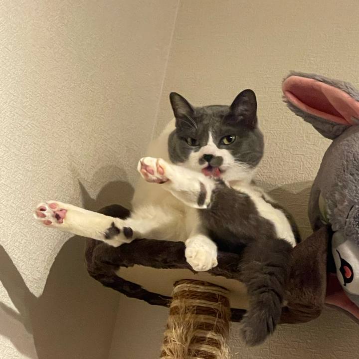 6f29ac12 36e6 4659 9c48 09ca407831d1 1736257780118