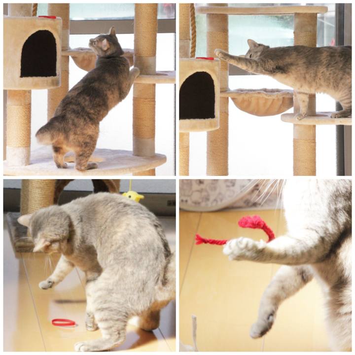 6f29d3c9 9ce5 4155 9118 158ebed0fc8f 1580887701932