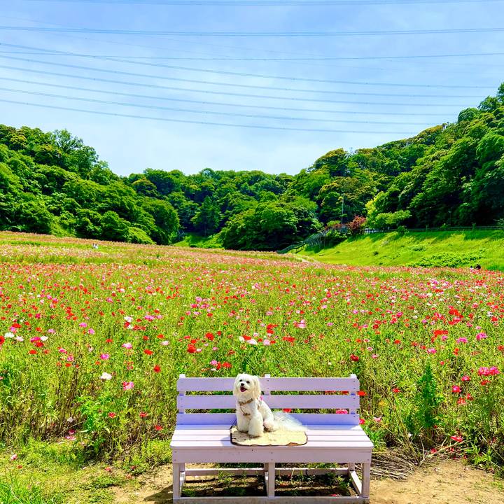 6f29e047 85f4 45e8 964f c5c89fa075e8 1685253171184