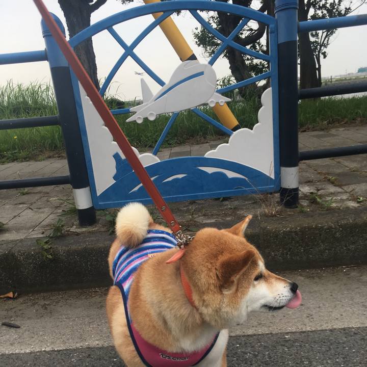 6f2a1d6e 7b76 4405 a7a7 9ce29797936f 1562830411965