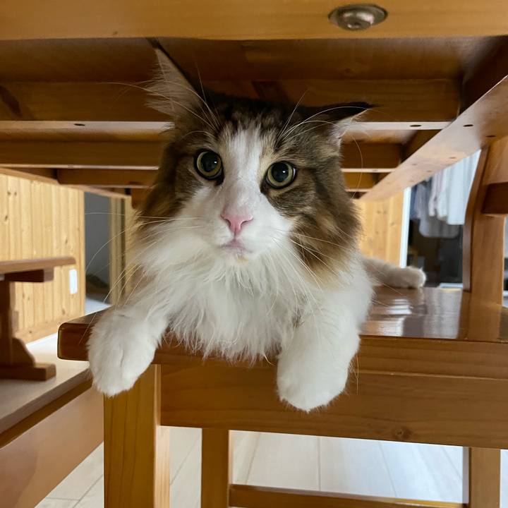 6f2a2b66 4e55 4d00 af3b 44d6f8d866e6 1664827384794