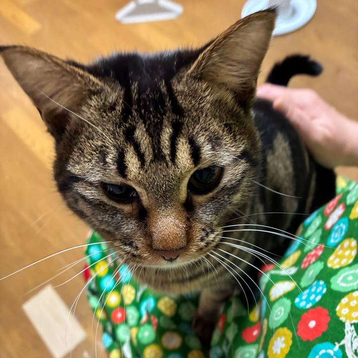 6f2a53ad afb9 4ecb 91ae 77b3cfeebe53 1767867278113