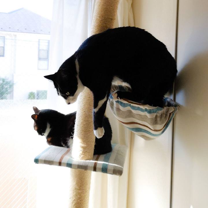 6f2a7bce 86d8 45c7 8b69 3ae5d0f1012f 1544848513964