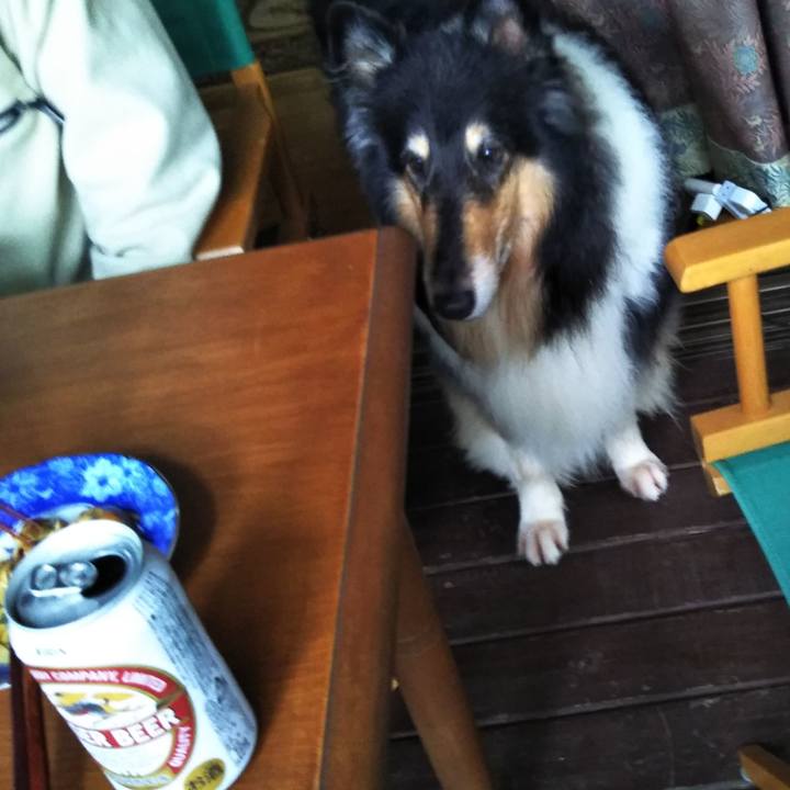 6f2aa9fe f318 416d 93f6 c0ad8c7bc5c6 1569137316651