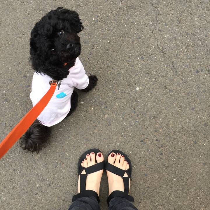 6f2aad5c b27b 427b 87ac 8c050003cf25 1527571695476