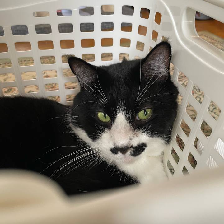 6f2ac556 71fd 4498 82c6 c11b479b3389 1757554409984