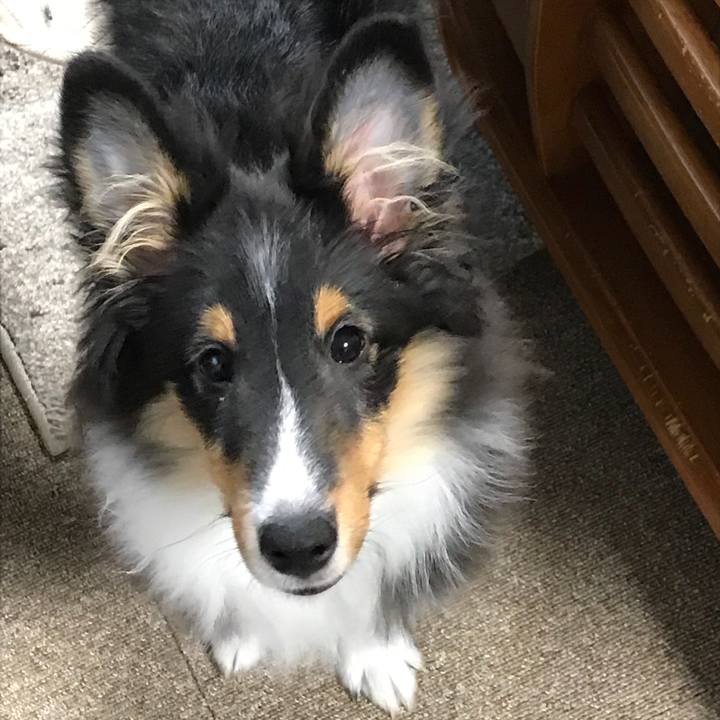 6f2acbec ec6b 4015 bbfb 123698f05bdc 1516141661998