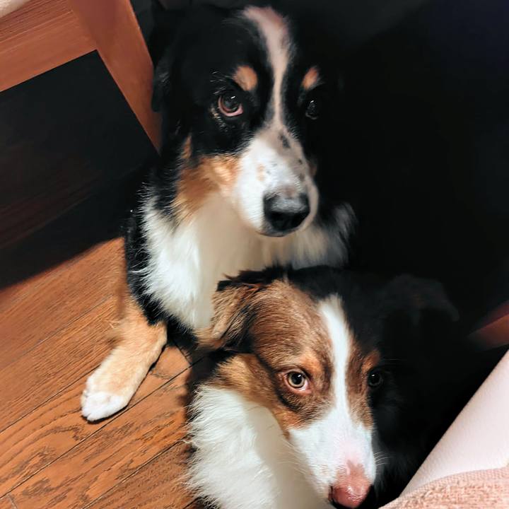 6f2b102a a761 46c0 8724 04aabc279b4e 1771673475009