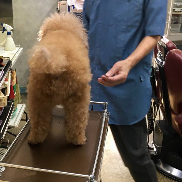 6f2b12b1 716b 4d96 9ad7 b29aeb5ffbe3 1517980641625