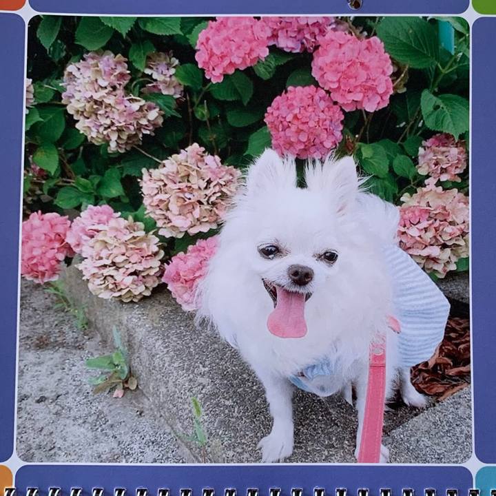 6f2b25cf b3b3 4f55 8a0d e2fb625b2f8f 1748741277788