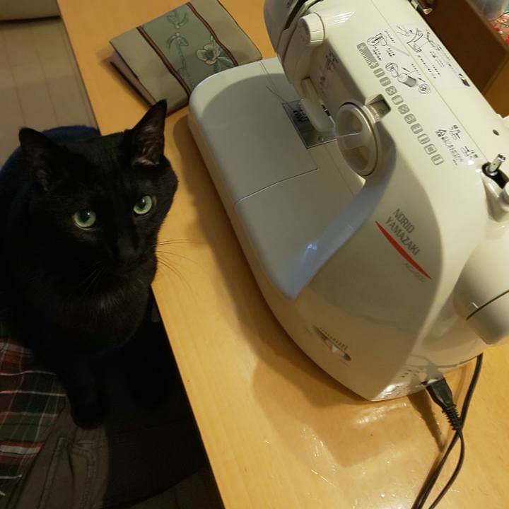 6f2b2704 4da4 44ad b7e7 7653cf74ee33 1748065351327