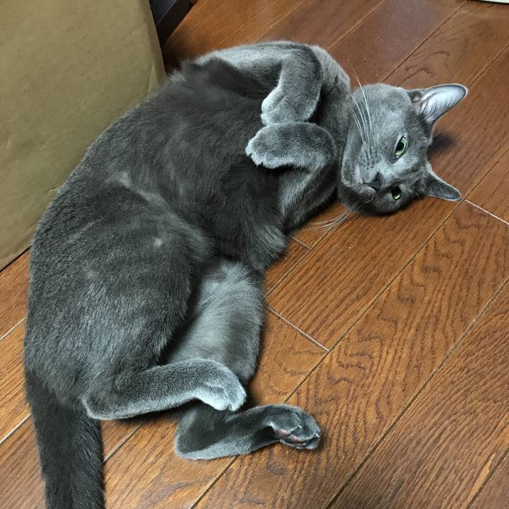 6f2b66a7 9de2 428f a5e9 805fca5d40a3 1507848306229