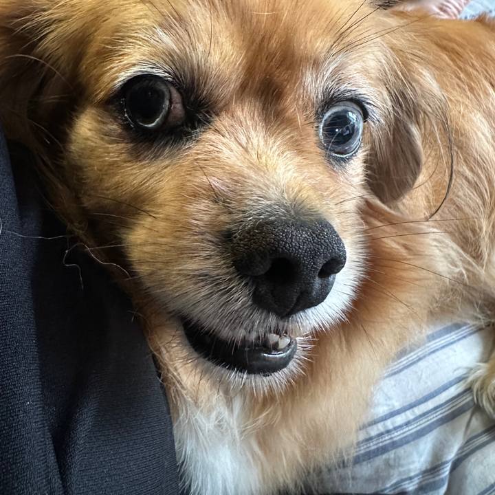 6f2b70d2 44bf 41b8 bc8f 7871c68a8fd8 1752268787401