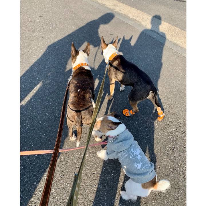 6f2b9102 e387 4083 b846 83946b4b340b 1618060769536