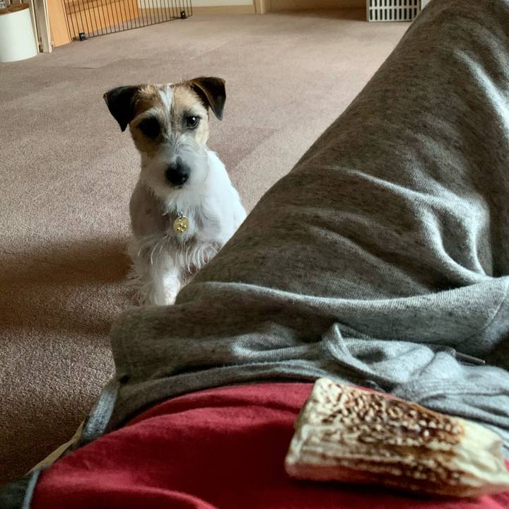 6f2bb75c 0aa9 4cde 9ff6 321fc54e6945 1613462831994