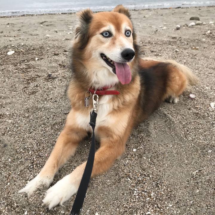 6f2bc04e 17a9 4760 a91f 22bf2d4f5f61 1600074926040