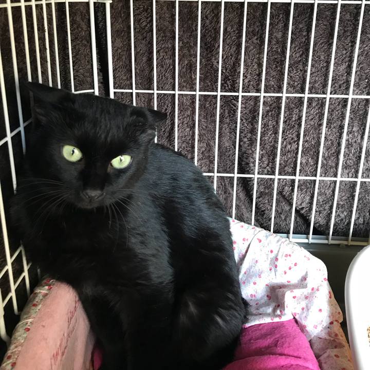 6f2c6789 eece 4074 8a99 9609d746b87c 1509334310160