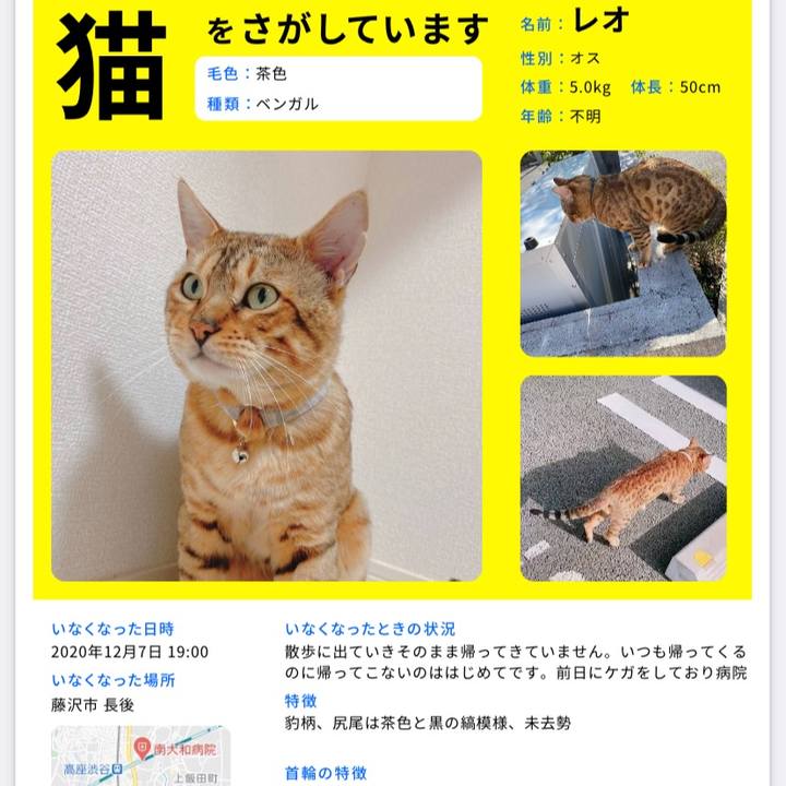 6f2c8007 e99f 4dc9 808a 0a17a3f89005 1618739858803