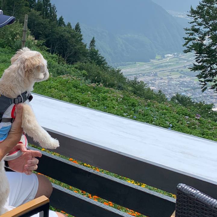 6f2c8c28 6b5e 40b6 9ae4 098c59150aeb 1566812762609