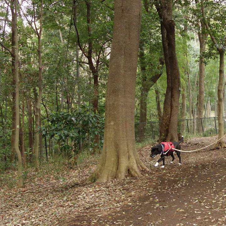 6f2ccb73 e78a 4738 9b8d 0c1637951ebd 1680232524023