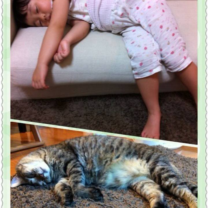 6f2ccdae c4c1 4cd2 9d18 4400397dc089 1593429040721