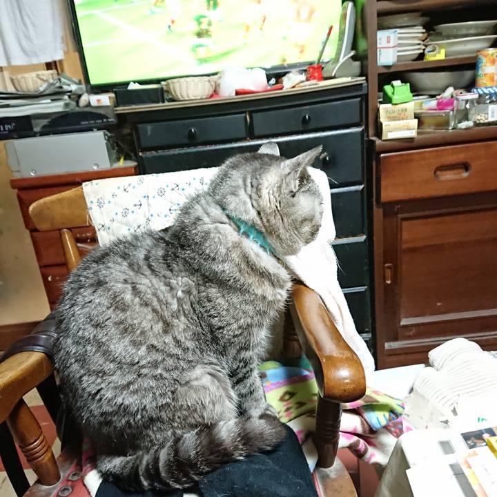 6f2cdaf5 0347 4933 85ea 67112739f353 1572168995350