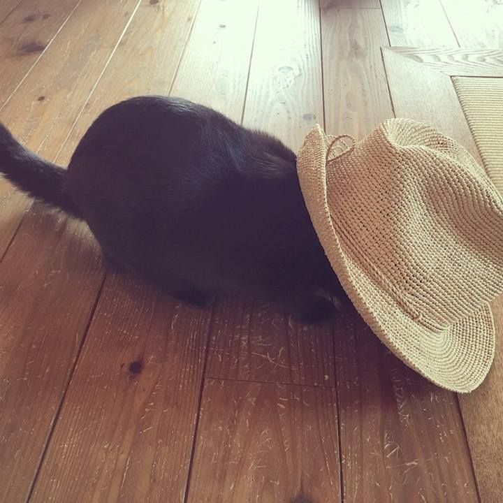 6f2d0c24 8fe7 4953 8f5e ae1c6e5ff15b 1524270166880