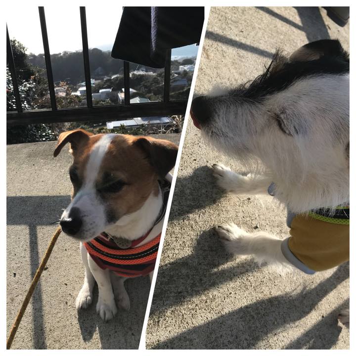 6f2d4d9d 6c51 4870 ba71 d59e1a1e3001 1518350347452