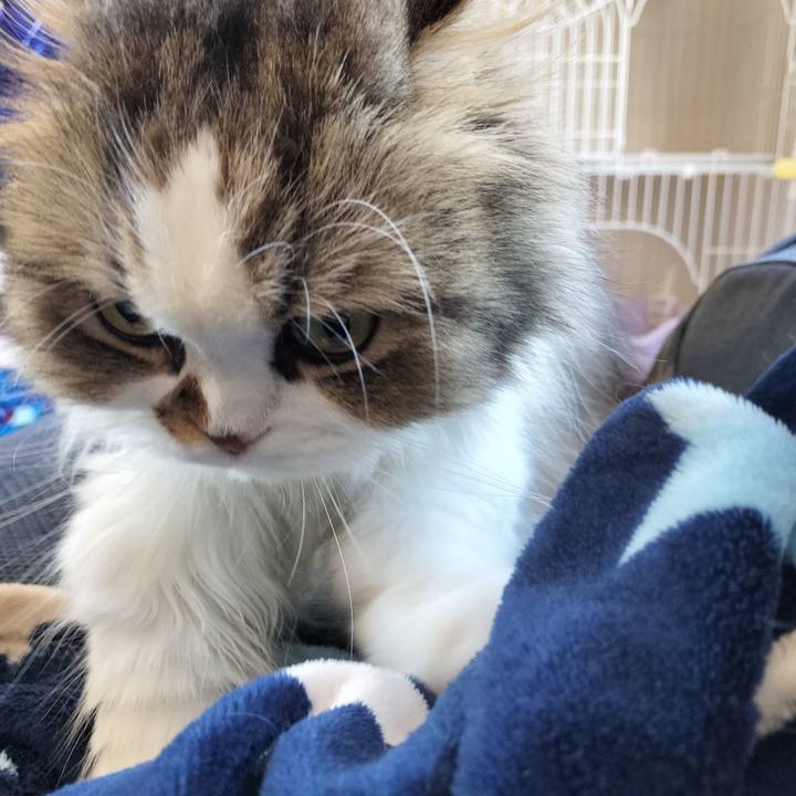 6f2d6259 d9a2 4b3b 8c82 7d22bc7f28df 1763522708209