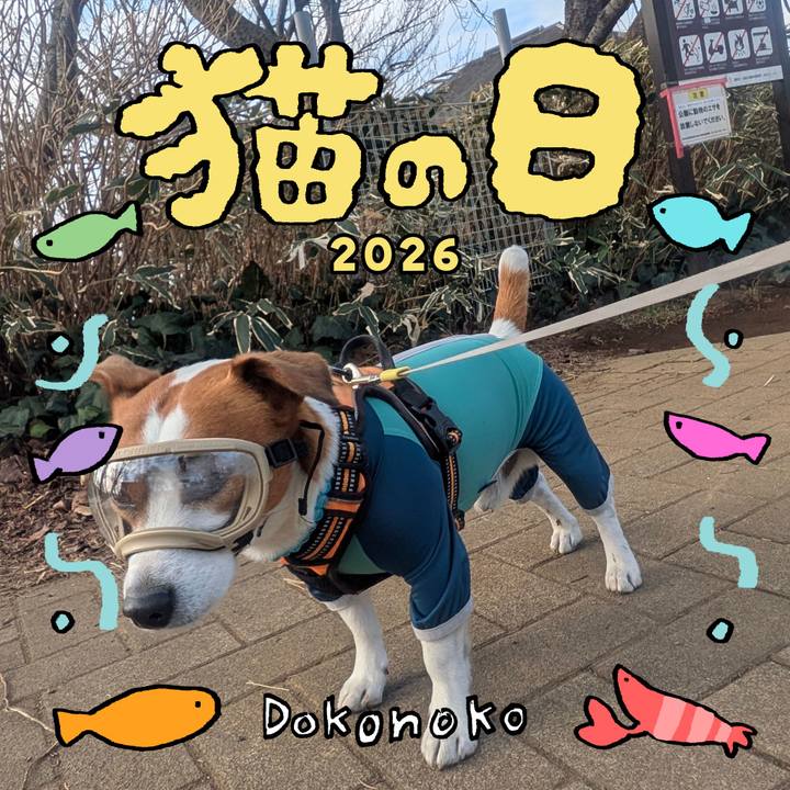 6f2d737a 8c69 42cc 854a 3f18a631c034 1771762839723