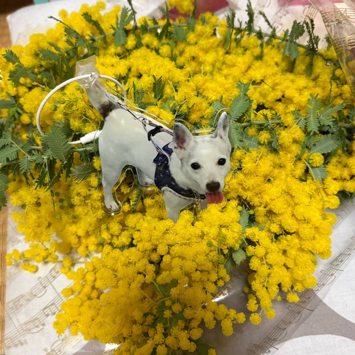 6f2d8e69 cda8 4b52 a812 d2a792a399e2 1773138935701