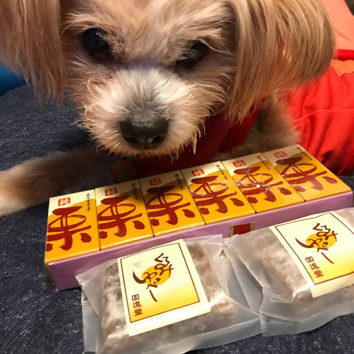 6f2da3f0 c3ad 44a3 8bd7 2885f702a57f 1525909613918