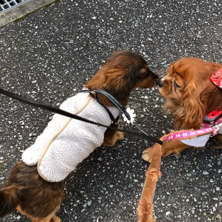 6f2da55f 3818 40f5 bd56 ff929edd752a 1645594386808