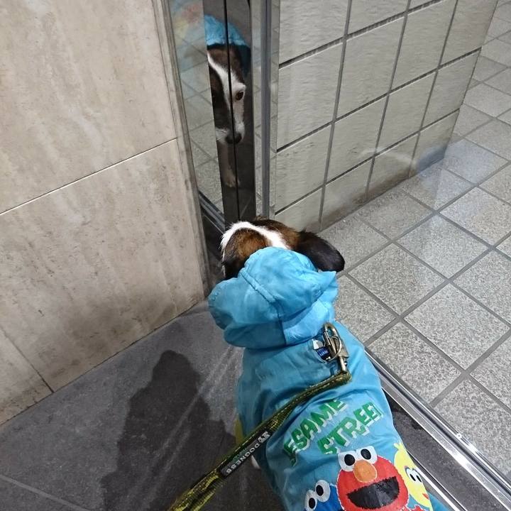 6f2daa4e 4566 4bd5 b22e 46eed98c7207 1521459163086