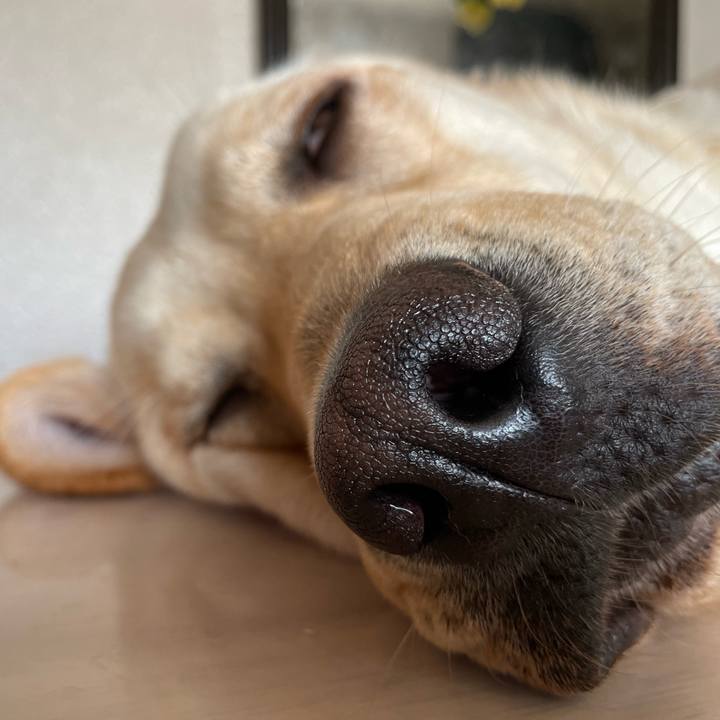 6f2dc005 6610 46b8 8f9e 675b62e14181 1659841401630